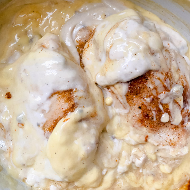 Ingredients in the slow cooker. 