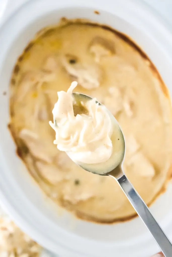 A spoonful of slow cooker cream of mushroom chicken.