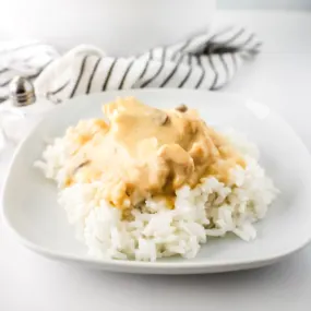 Slow cooker cream of mushroom chicken served over rice.